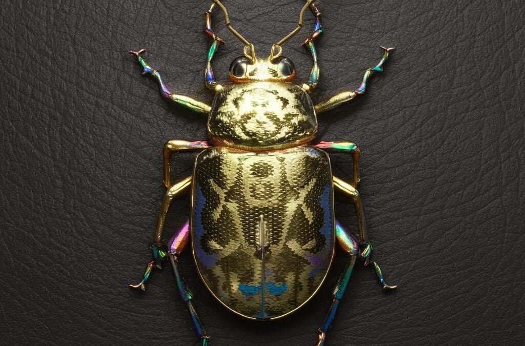 Soziale Innovation: Studenten zur Bewältigung globaler Herausforderungen motivieren